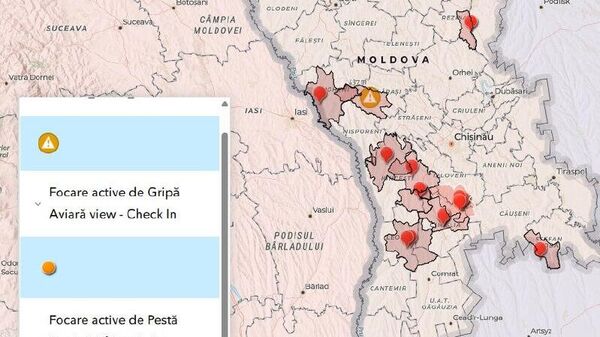 Менее чем за неделю в Молдове зафиксированы пять очагов африканской чумы свиней - Sputnik Молдова