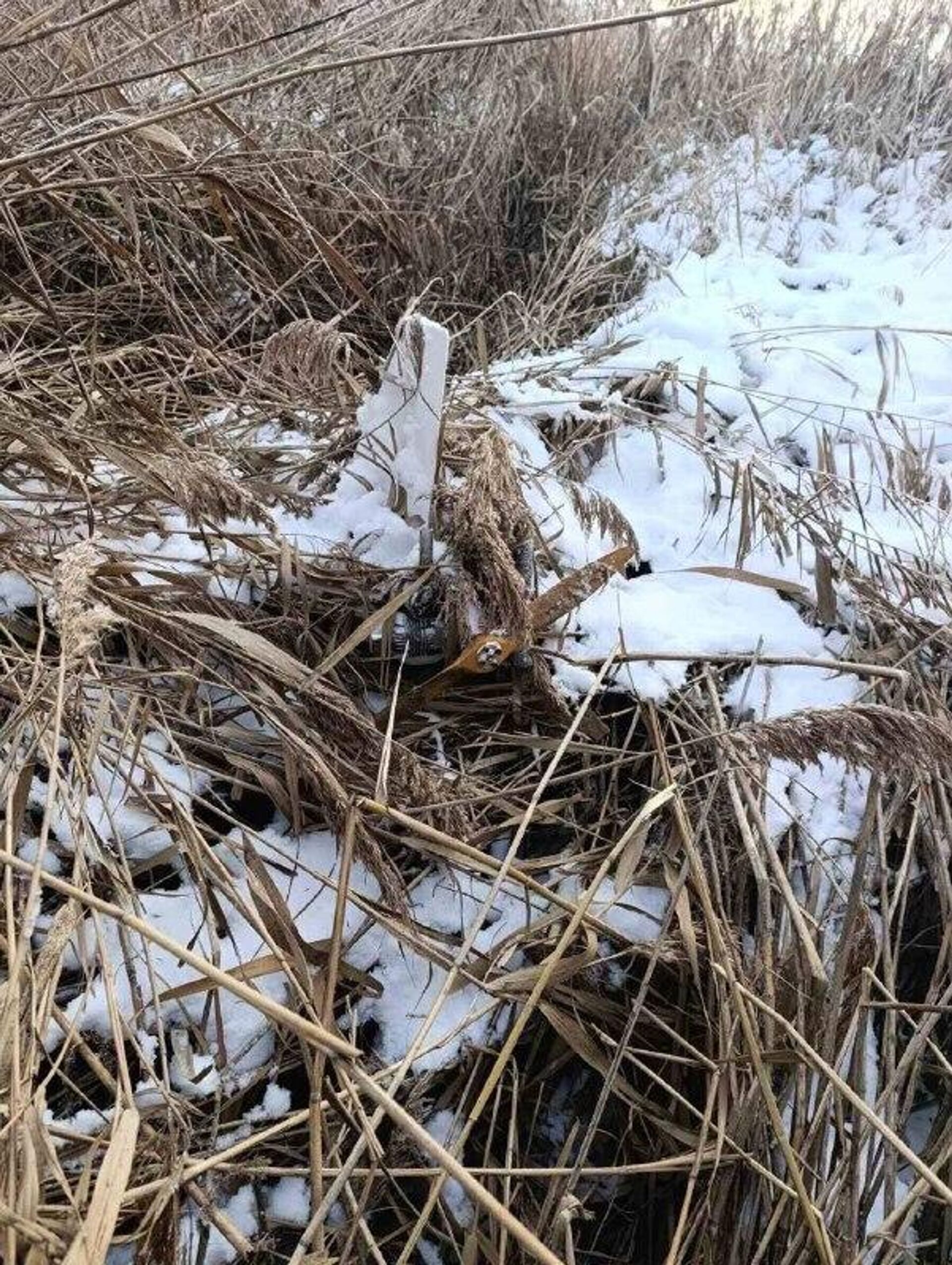 Близ села Нукарены Теленештского района обнаружен упавший беспилотник - Sputnik Молдова, 1920, 17.01.2026