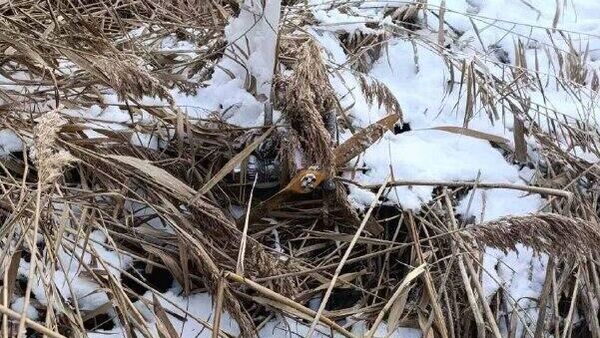 Близ села Нукарены Теленештского района обнаружен упавший беспилотник - Sputnik Молдова