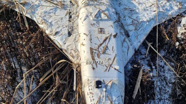 Близ села Нукарены Теленештского района обнаружен упавший беспилотник - Sputnik Молдова