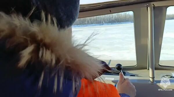O căprioară a fost salvată de angajații Ministerului rus pentru Situații de Urgență (MЧС) în apropiere de Saratov – animalul rămăsese blocat pe suprafața înghețată a râului, fără posibilitatea de a se deplasa, scrie РИА Новости - Sputnik Moldova