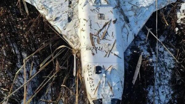 Упавший в Теленештском районе дрон не нёс взрывчатки и не представляет опасности, сообщили в Генеральном инспекторате полиции Молдовы - Sputnik Молдова