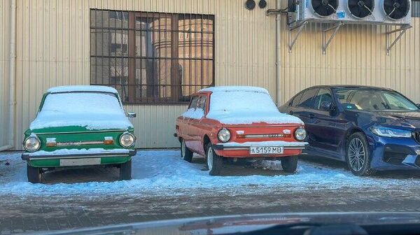 Раритеты на советских номерах обнаружены в одном из дворов Кишинева - Sputnik Молдова