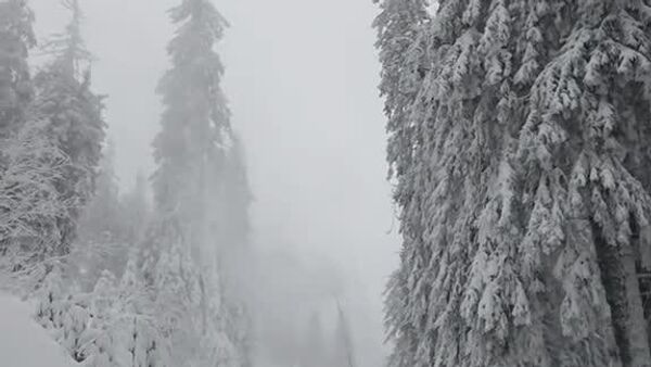 Poiana Brașov (Postăvaru), ianuarie 2026 - Sputnik Moldova