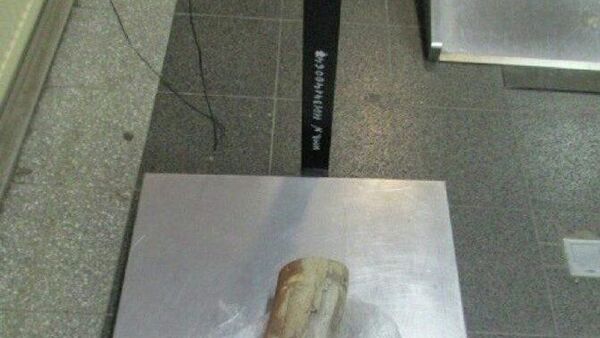 Moldoveanul și mamutul Moldoveanul și mamutul - Sputnik Moldova