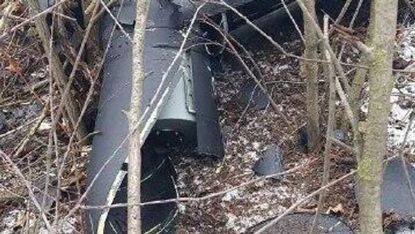 В Штефан-Водском районе в саду возле пустующего дома обнаружен упавший дрон - Sputnik Молдова