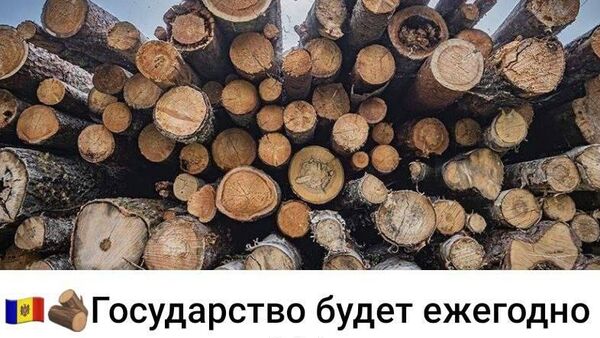 А программа восстановления лесов выдержит такие темпы? - Sputnik Молдова