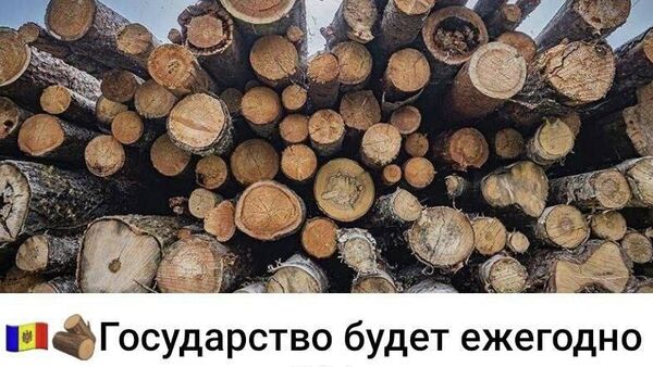 Autoritățile moldovene au de gând să scoată pe piață anual 344 de mii de metri cubi de lemne de foc Autoritățile moldovene au de gând să scoată pe piață anual 344 de mii de metri cubi de lemne de foc - Sputnik Moldova