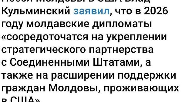 А откуда столько пафоса? Это ваши прямые обязанности, ребята - Sputnik Молдова