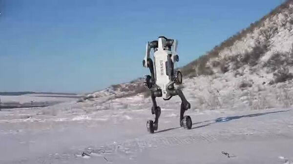Așa arată un câine robotic din China, care a fost testat în zăpadă la -30 de grade Celsius Așa arată un câine robotic din China, care a fost testat în zăpadă la -30 de grade Celsius - Sputnik Moldova