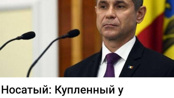 Cherchez la femme: радару срочно нужна подружка - Sputnik Молдова