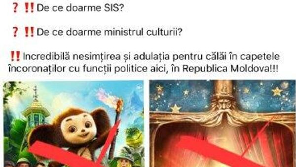 Из болота политического забвения вынырнула некогда известная унионистка и депутат Анна Гуцу - Sputnik Молдова