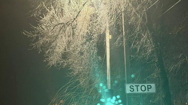 Primăria Chișinău avertizează că din cauza condițiilor meteo nefavorabile, pe copaci și cablurile de electricite se depune chiciură, existând risc de rupere și de cădere a acestora pe carosabil, trotuare sau automobile - Sputnik Moldova