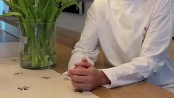 А если прекратить реэкспорт на Украину, ситуация нормализуется, так ведь? - Sputnik Молдова