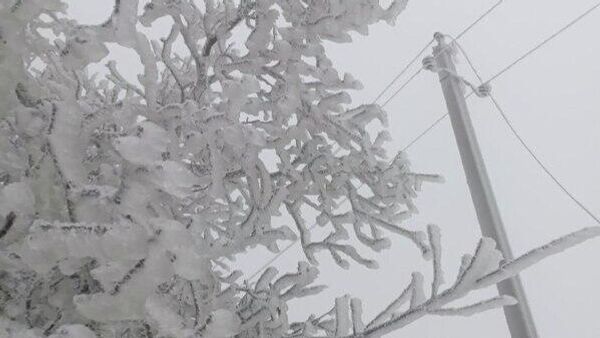 Более 8 тысяч потребителей в разное время остались без света из-за неблагоприятных погодных условий в Молдове - Sputnik Молдова