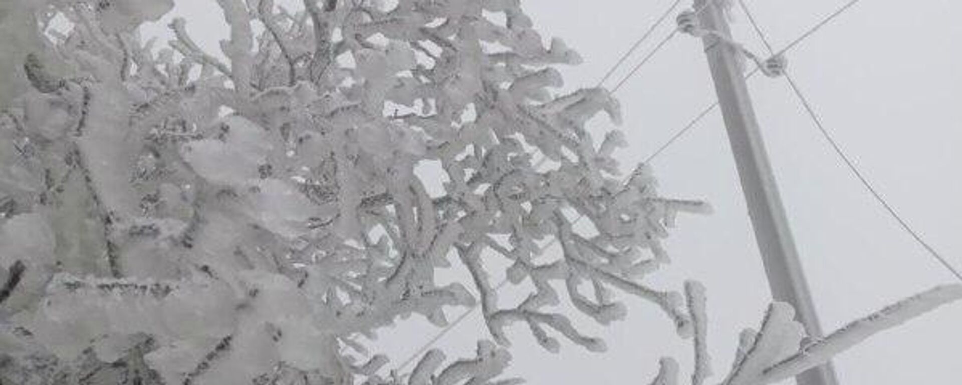 Более 8 тысяч потребителей в разное время остались без света из-за неблагоприятных погодных условий в Молдове - Sputnik Молдова, 1920, 26.01.2026