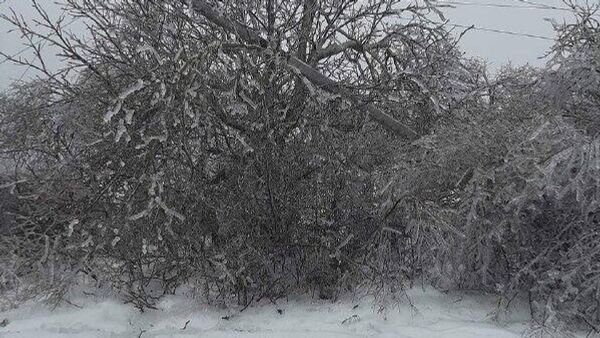 К вечеру вторника частично обесточенными остаются 7 населённых пунктов Молдовы — Premier Energy - Sputnik Молдова