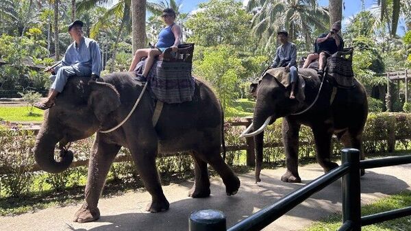 Plimbările cu elefanții, interzise acum în toată Indonezia - Sputnik Moldova