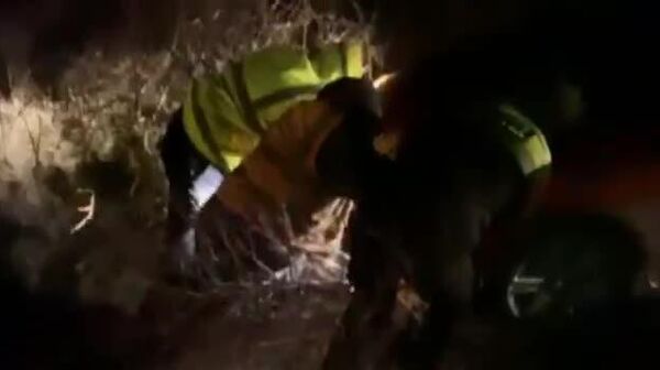 Ситуация на дорогах Молдовы - Sputnik Молдова