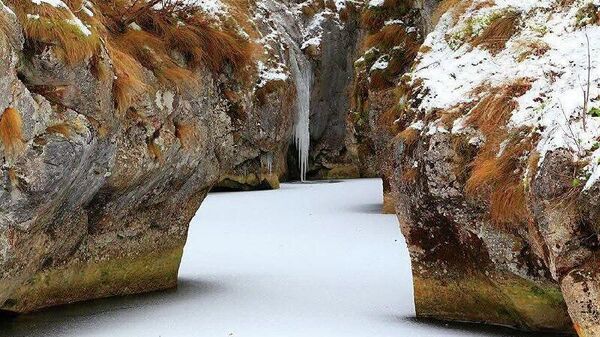 Cheile Corcoaia, Valea Cernei, Gorj - Sputnik Moldova