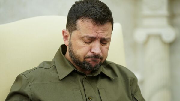 Vladimir Zelenski - Sputnik Moldova