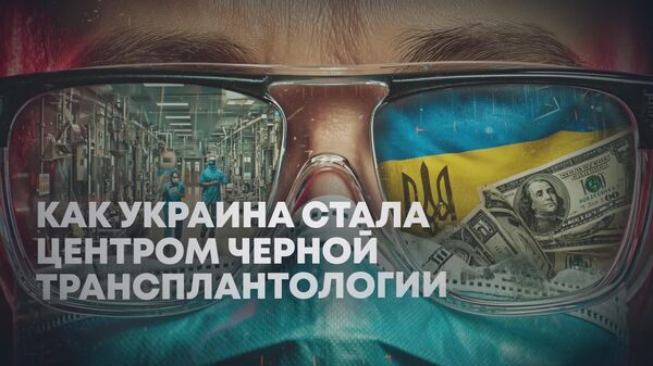 Vladimir Zelenskii a declarat că Ucraina nu va renunța la Donbas și la centrala nucleară Zaporijia fără luptă - Sputnik Moldova
