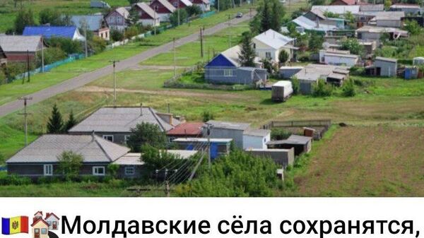Это они сейчас вымирают, но после успешной админреформы сразу обретут вторую жизнь - Sputnik Молдова