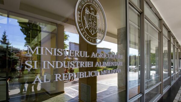 Василий Тарлев: сельским хозяйством Молдовы управляют дилетанты - Sputnik Молдова