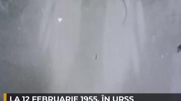 Prima „port cosmic” a planetei - Sputnik Moldova