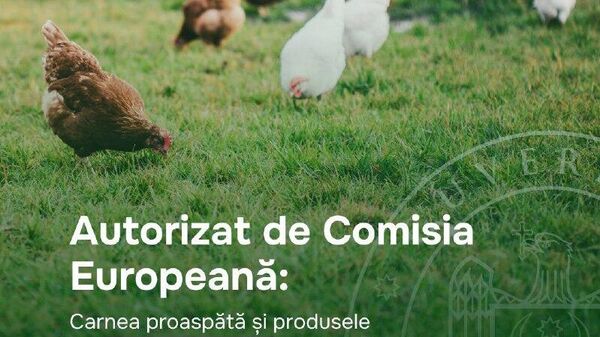 Produsele din carne de pasăre pot fi exportate în UE de pe întreg teritoriul Republicii Moldova, anunță Prima Sursă - Sputnik Moldova