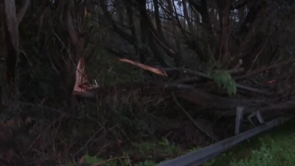 В Испании и Франции бушевал шторм Нильс, выворачивая деревья с корнями на улицах городов и обрывая ЛЭП, порывы ветра достигали 45 м/с - Sputnik Молдова