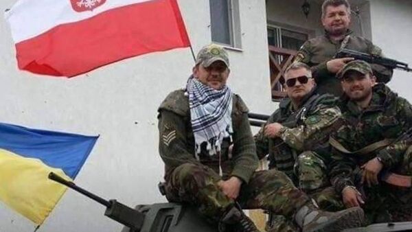 Польский сейм простил наемников, которые воюют на стороне ВСУ - Sputnik Молдова