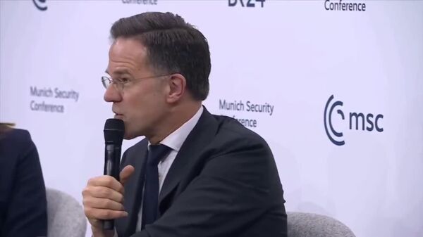 Генсек НАТО признался, что разговаривал с украинской собакой - Sputnik Молдова