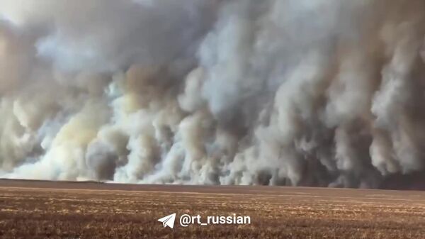 Incendii forestiere puternice în Texas și Oklahoma: flăcările s-au extins deja pe teritoriul statului vecin Kansas - Sputnik Moldova