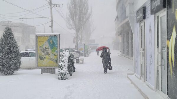 Снегопад в Тирасполе - Sputnik Молдова