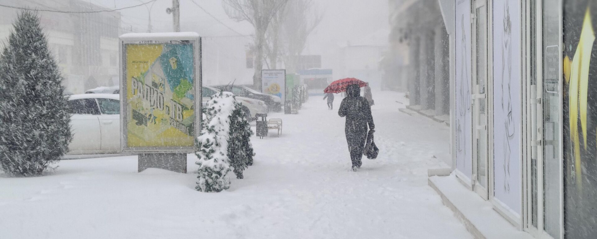 Снегопад в Тирасполе - Sputnik Молдова, 1920, 19.02.2026