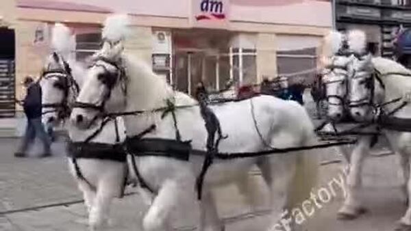 Королевские почести - Sputnik Молдова