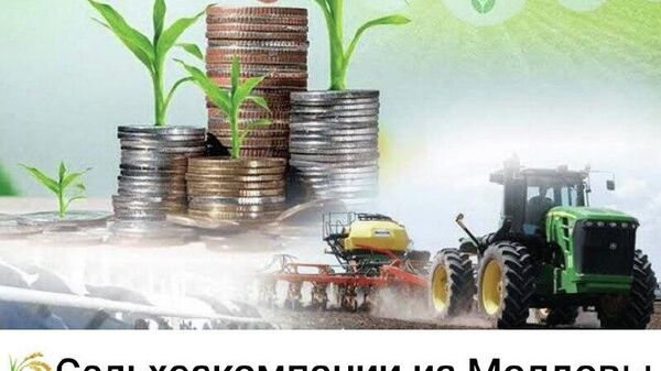 Могут и не получить - Sputnik Молдова