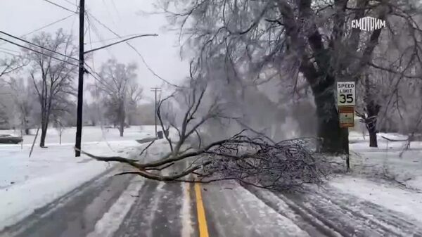 Более 500 тыс - Sputnik Молдова