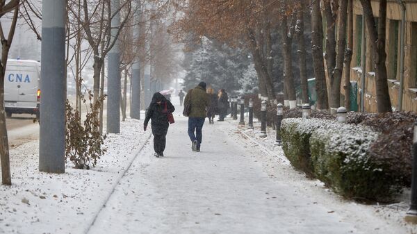 Дмитрий Тэрэбуркэ: Молдавская модель экономики – экспорт людей - Sputnik Молдова