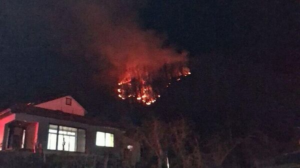 Un alt avion de luptă F-16 a suferit un accident, de această dată în Coreea de Sud - Sputnik Moldova