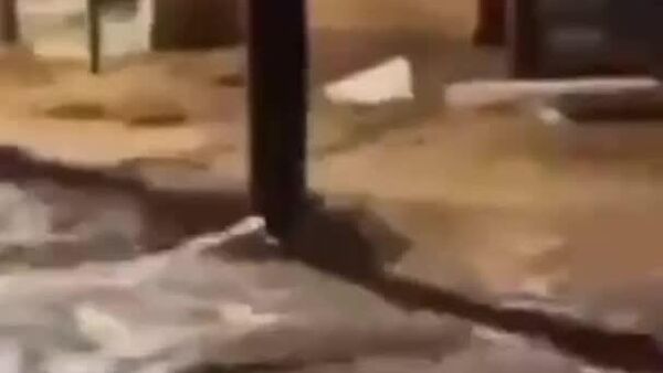 Sicriele au curs pe străzile orașului Ubá din Brazilia, afectat de ploi torențiale Sicriele au curs pe străzile orașului Ubá din Brazilia, afectat de ploi torențiale - Sputnik Moldova