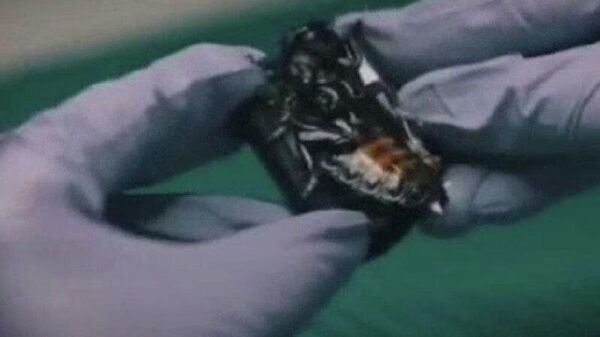 ФРГ хочет использовать «тараканов-шпионов» в будущей войне с Россией - Sputnik Молдова