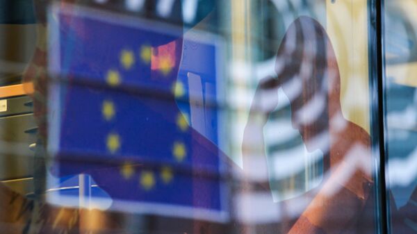 Наталья Харитонова: Евроинтеграция – морковка, за которой можно идти много лет - Sputnik Молдова