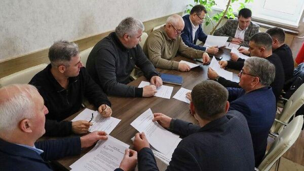 НСГ готово отправить в ЦИК свои предложения по выходу из политического кризиса - Sputnik Молдова