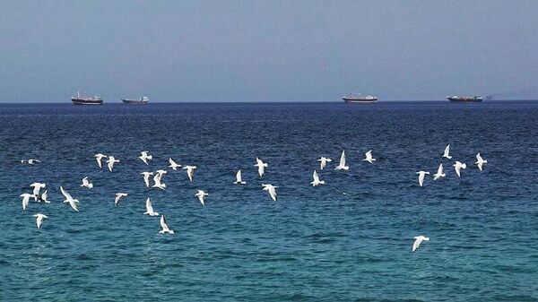 От событий на Ближнем Востоке пострадают крупнейшие импортеры нефти — Китай, Индия и особенно Евросоюз - Sputnik Молдова