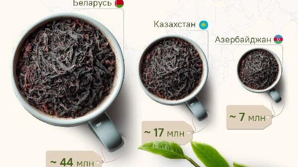 🫖 Belarus, Kazahstan și Azerbaidjan s-au aflat în fruntea listei țărilor importatoare de ceai rusesc în 2025 - Sputnik Moldova