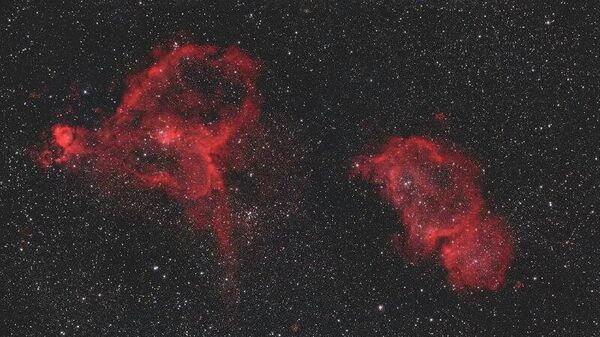 Космический букет к 8 Марта представил Роскосмос - Sputnik Молдова