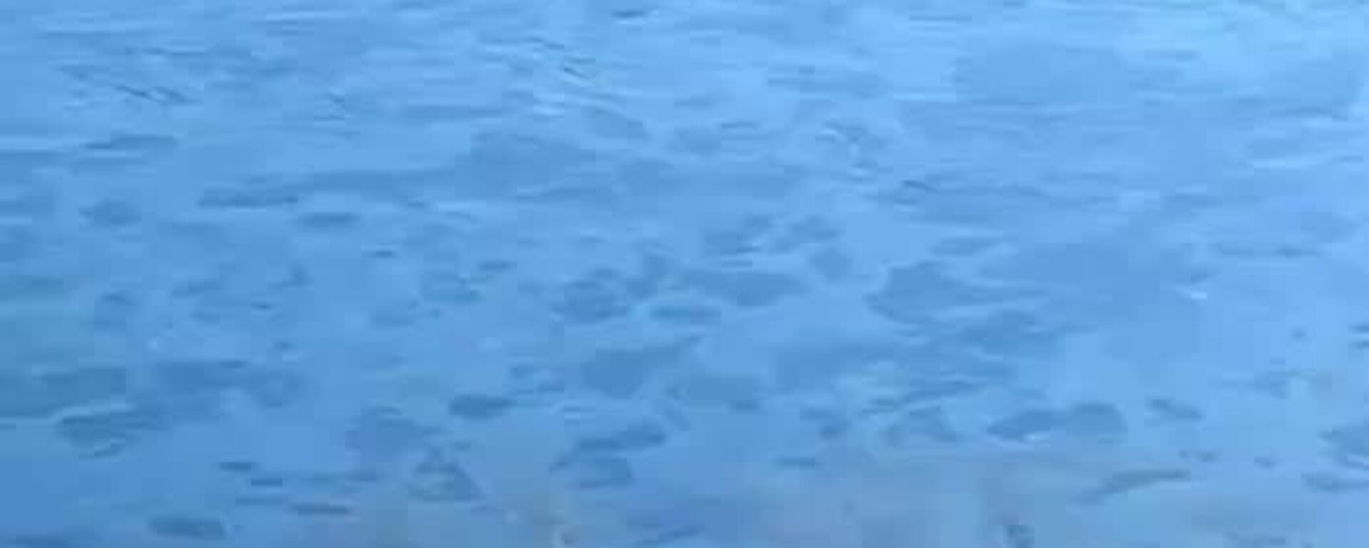 В Бельцах может прекратиться водоснабжение после того, как на севере Молдовы, вблизи населённого пункта Наславча, в реке Днестр были обнаружены пятна нефти - Sputnik Молдова, 1920, 10.03.2026