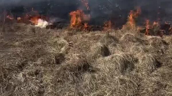 Specialiștii IGSU au avut dreptate! - Sputnik Moldova